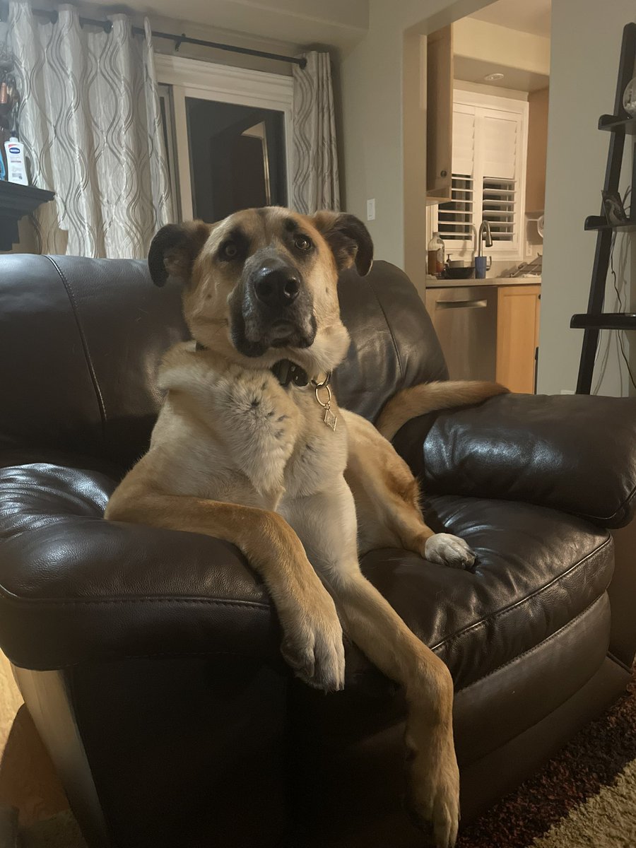 Emily & Roo tweet media