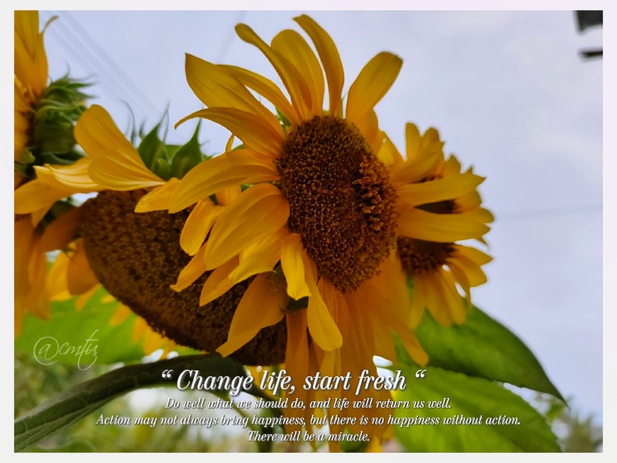 CamTu7771's tweet photo. Change life, start fresh
📷 by me
#cmtu https://t.co/XAt5QinqG5
