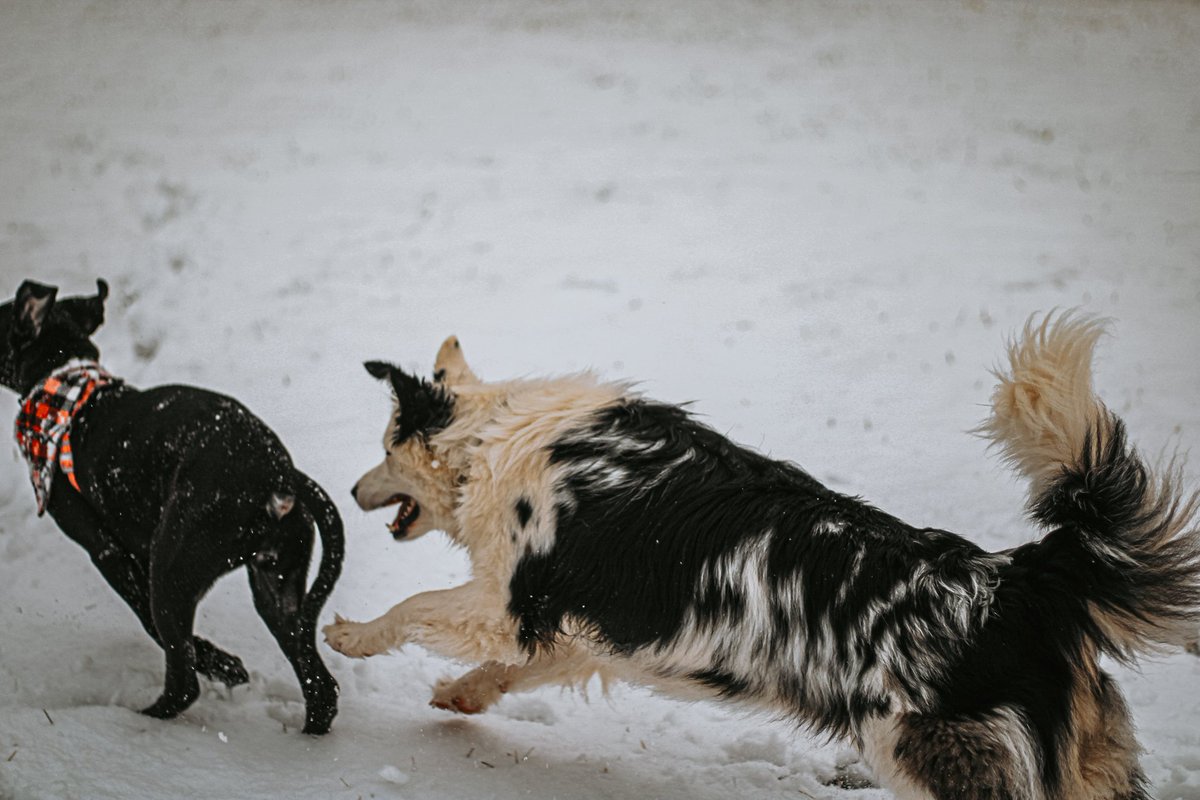 Sunshine & Delilah tweet media