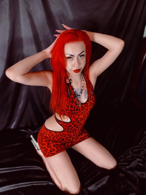 Red Queen
.
.
.
#altgirl #gothgirl #gothgf #goth #punk #redhair #inked #fashion https://t.co/65yiBNi