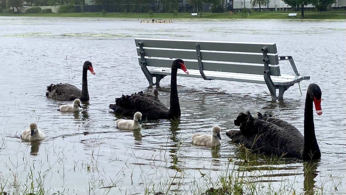 Stephanie Moroz tweet media