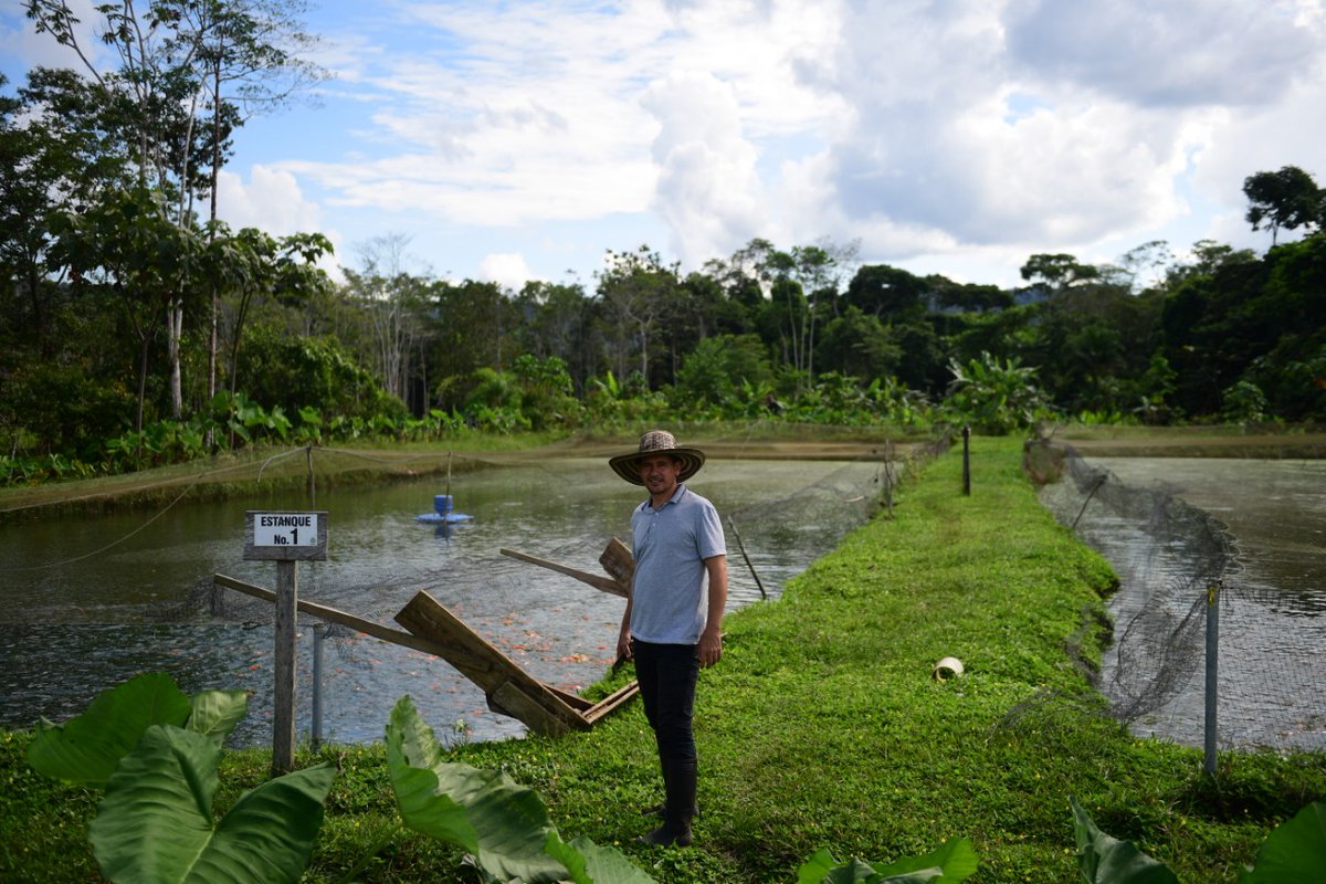 elespectador's tweet photo. #LoMásLeído en @EEColombia2020 | Asesinan a Jorge Santofimio, firmante de paz y líder ambiental de Putumayo.
https://t.co/V4hX9Rd5mj https://t.co/x4zmhdWjJj