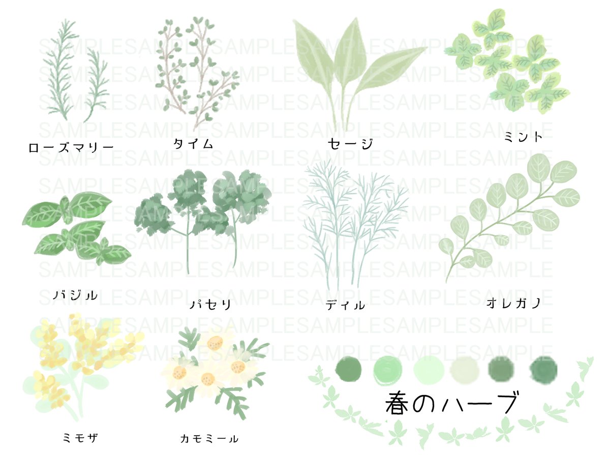 さざはら イラストac で植物イラストの無料ダウンロードをしています 会員登録するだけで使い放題なので ちょこっとイラストが使いたいなぁってときに使ってください ハーブ フリー素材 花 春 T Co Lfsd6ifqyc T Co Q2zhidxczu