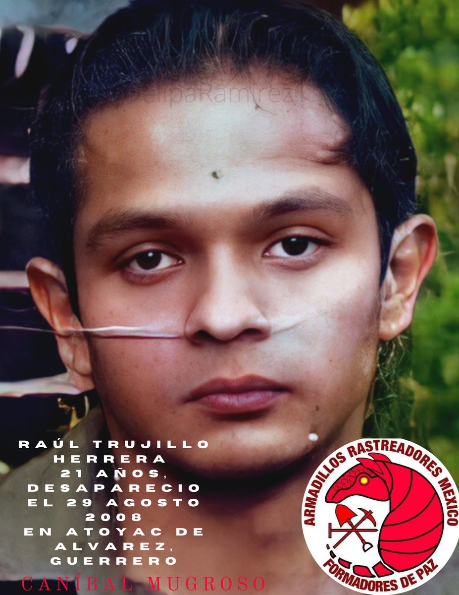 Armadillos Rastreadores México Formadores de Paz tweet media