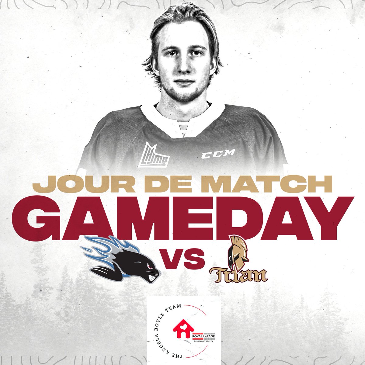 Titan Acadie-Bathurst tweet media
