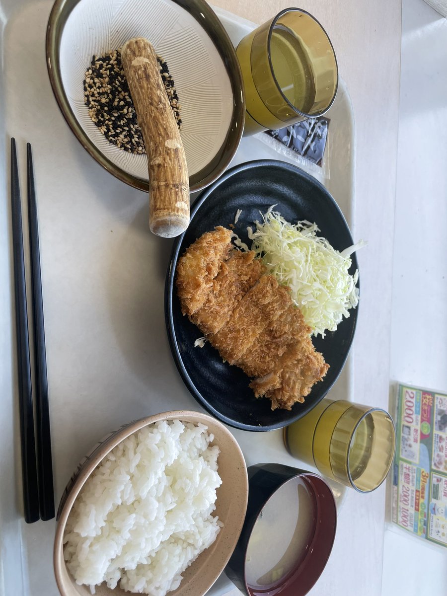 summerds_s's tweet photo. ただ飯
サボテンのヒレ https://t.co/b74XyelQMw