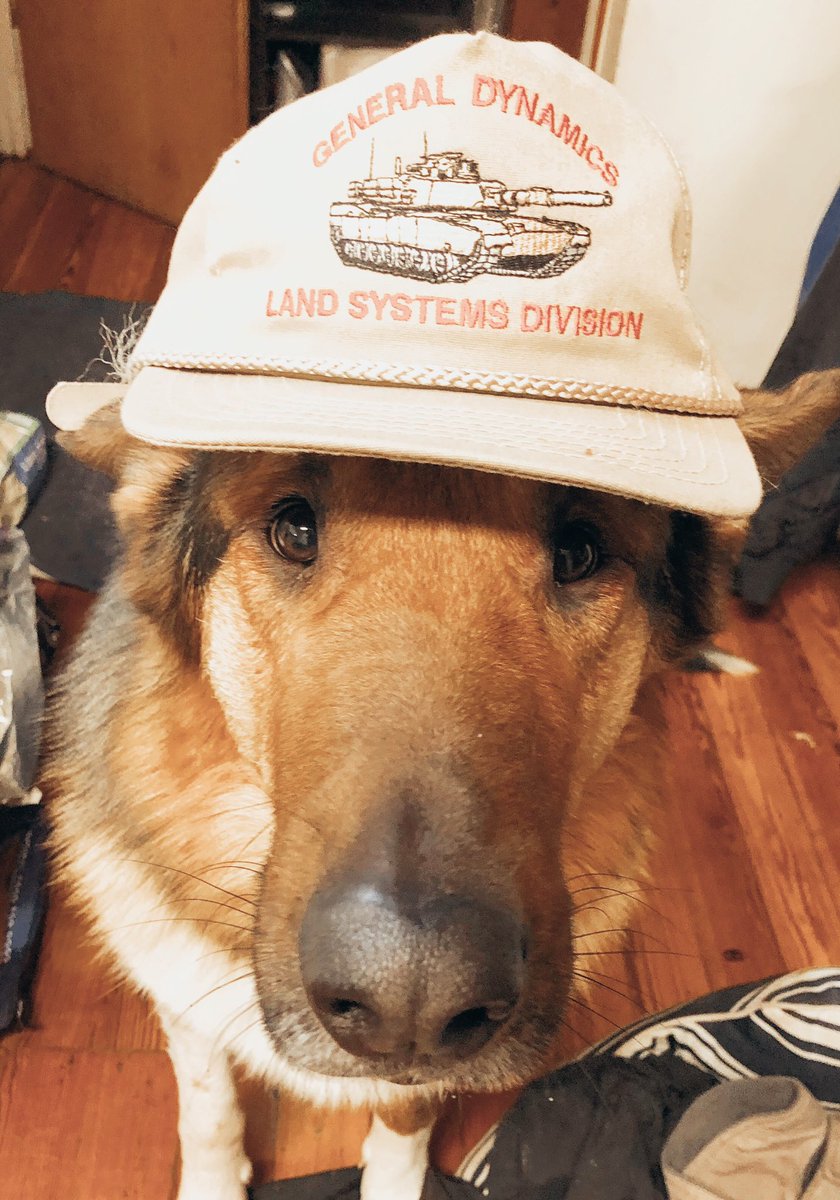 mittenpack's tweet photo. Woke up to the #DogCommunity from IG moving over to twitter so… Here we are bc we didn’t want our handle to be taken😅 

Please enjoy the boys in their great grandpa’s hat👌 https://t.co/rw9MKdjoux