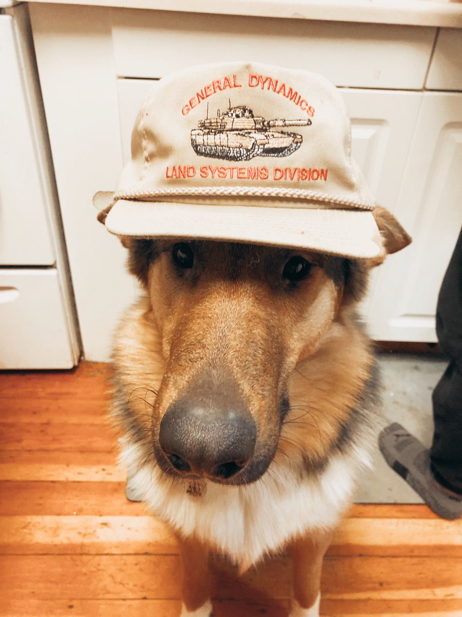 mittenpack's tweet photo. Woke up to the #DogCommunity from IG moving over to twitter so… Here we are bc we didn’t want our handle to be taken😅 

Please enjoy the boys in their great grandpa’s hat👌 https://t.co/rw9MKdjoux