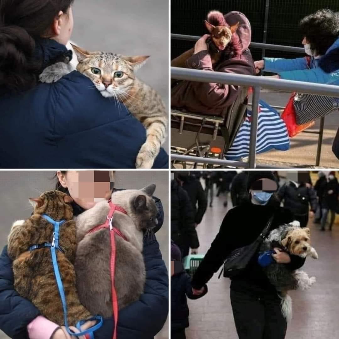 data24hs's tweet image. 🇷🇺🇺🇦 UCRANIA / RUSIA: La familia nunca se abandona.