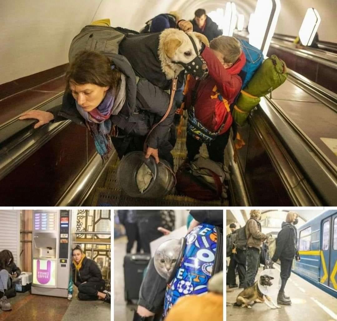 data24hs's tweet image. 🇷🇺🇺🇦 UCRANIA / RUSIA: La familia nunca se abandona.