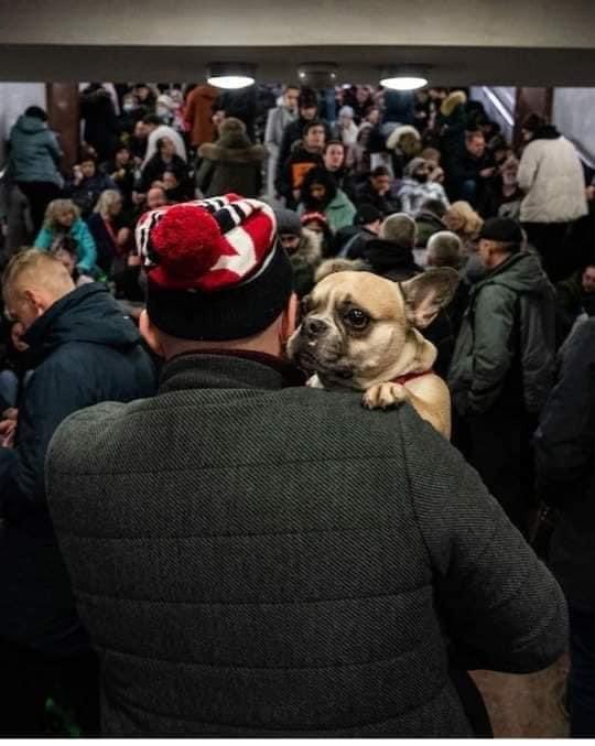 data24hs's tweet image. 🇷🇺🇺🇦 UCRANIA / RUSIA: La familia nunca se abandona.