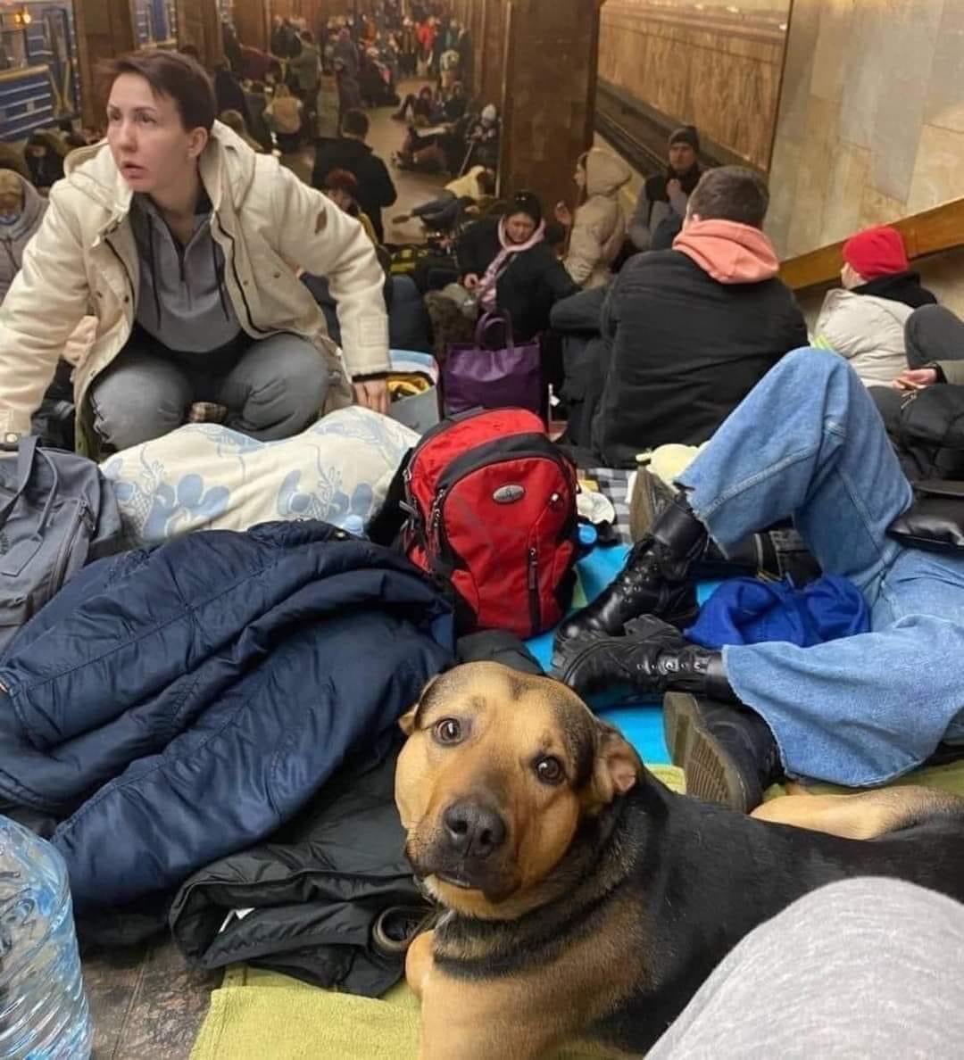 data24hs's tweet image. 🇷🇺🇺🇦 UCRANIA / RUSIA: La familia nunca se abandona.