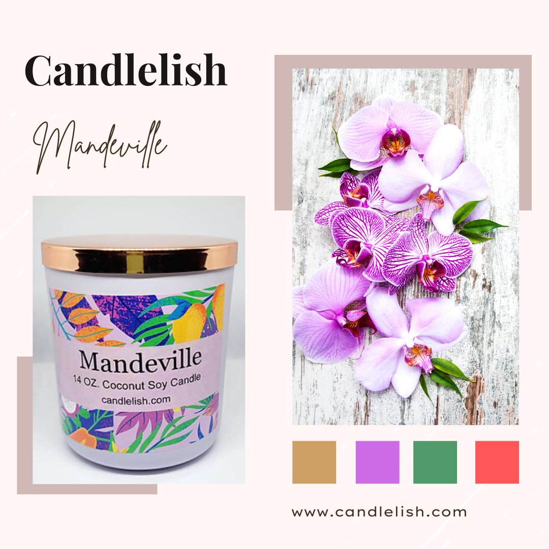 Get a free Beige &amp; White Circles Canister with any purchase now through February 28th. Coconut Soy Candles, Coconut Apricot Candles, Coconut Beeswax Candles, and Soy Tart melts.  candlelish.com
#soycandles #candles #cocoapricot #coconutwaxcandles #cocosoy #beeswaxcandles