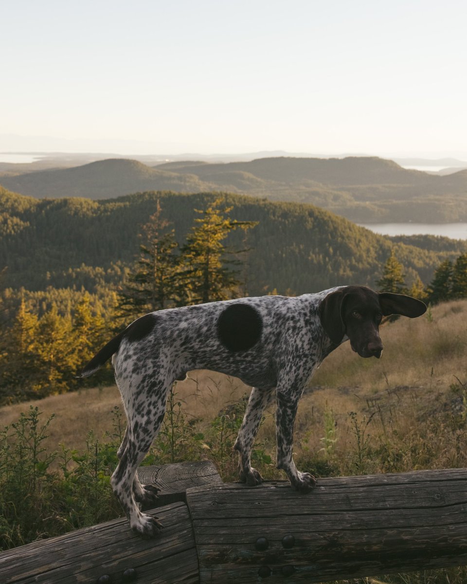 Some island lovin’ from this summer. Can’t wait to get back on the road.