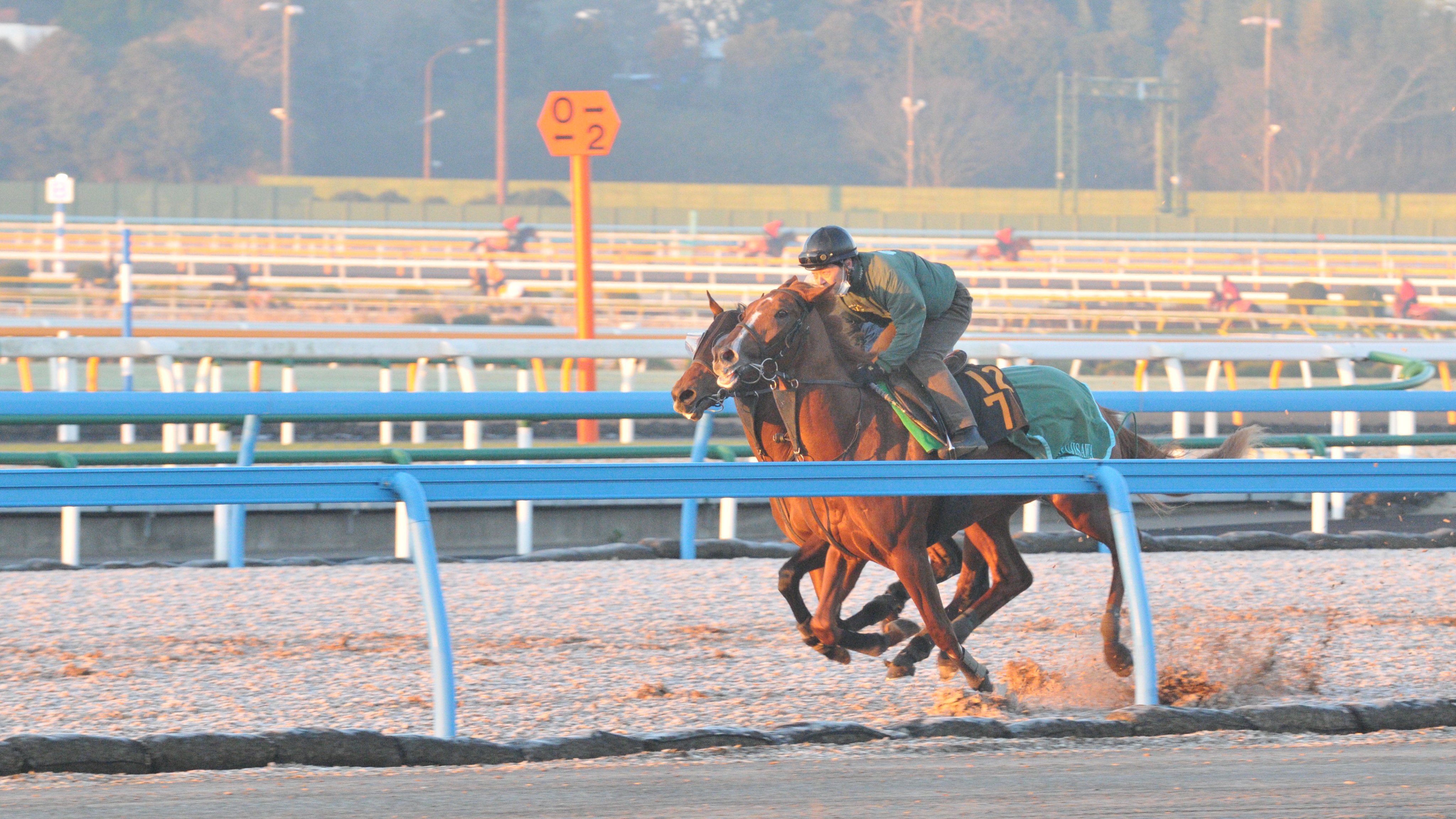 中古】 競馬陽炎座 時代の真ん中を走れなかった馬たち/日経ラジオ社/