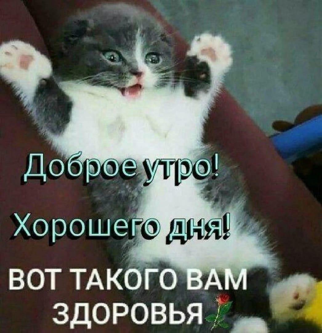 С добрым утром, друзья!!!