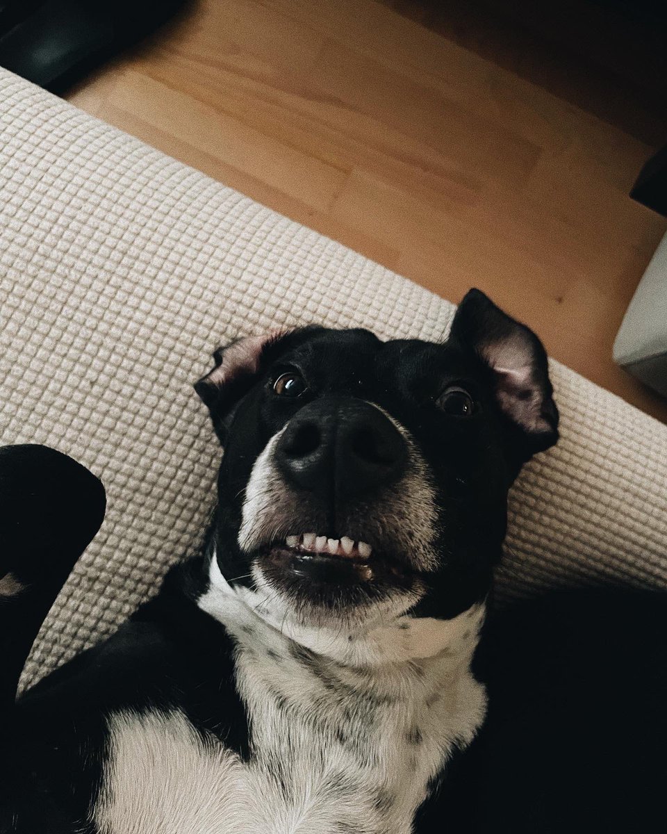 Sam + Emma tweet media