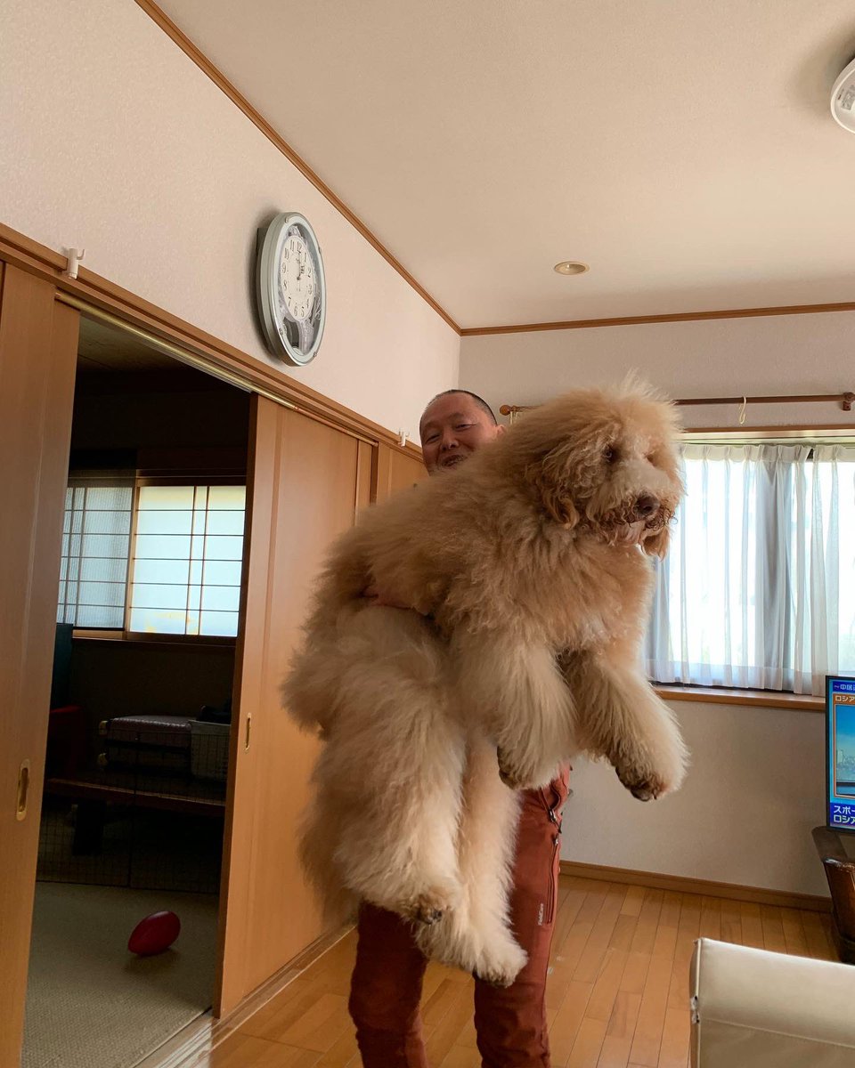 成長期のアムール君
こう見えてまだ1才1ヶ月です