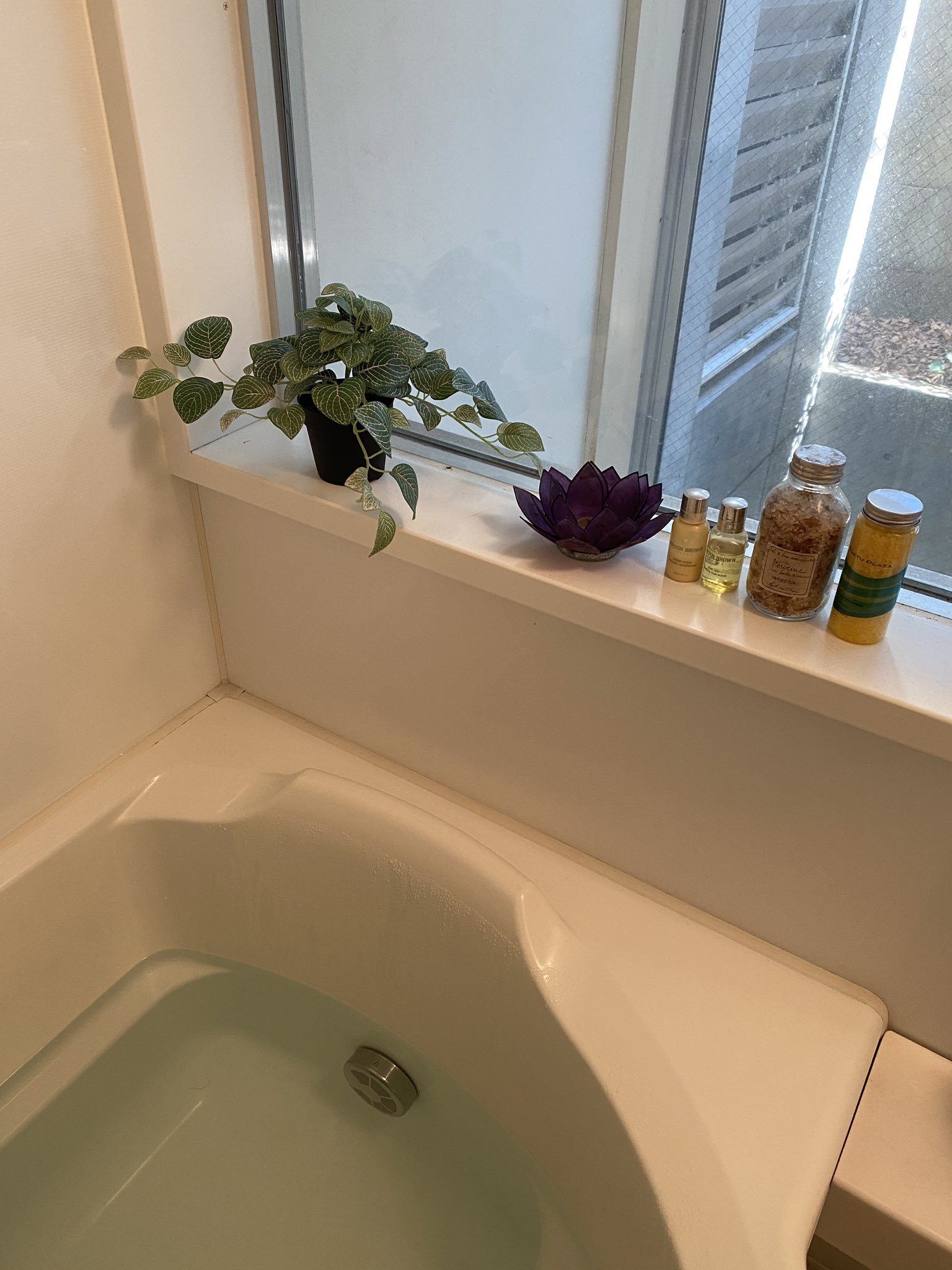 漫画家のyascorn やすこーん ヤスコーン やすこーんの鉄道イロハ 9 18発売 先ほどのグリーン フェイク は一番上のだけです 何度もトライしてるけど 家は日が当たらなくて植物すぐ枯れるので これもどのくらいもってくれるか W あ あとお風呂場