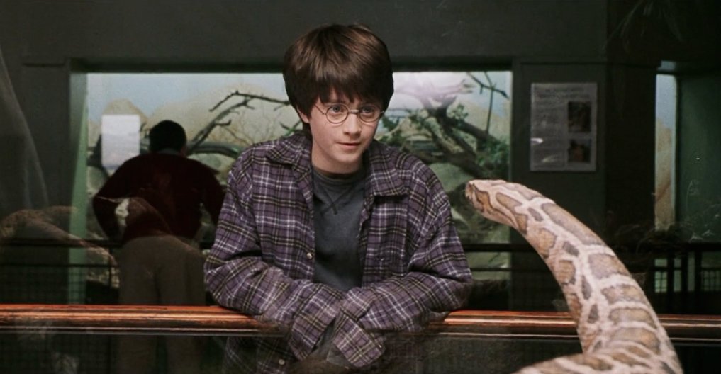 PotterWorldUK's tweet photo. 23 June 1991: Harry speaks Parseltongue for the first time with a snake. https://t.co/nazpK63x2Y