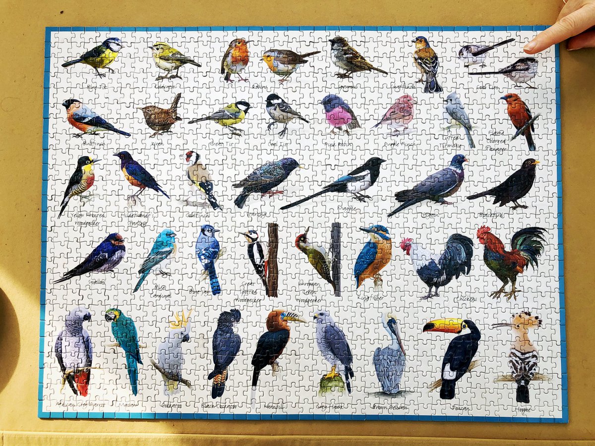 Antonio Chrysostomou tweet media