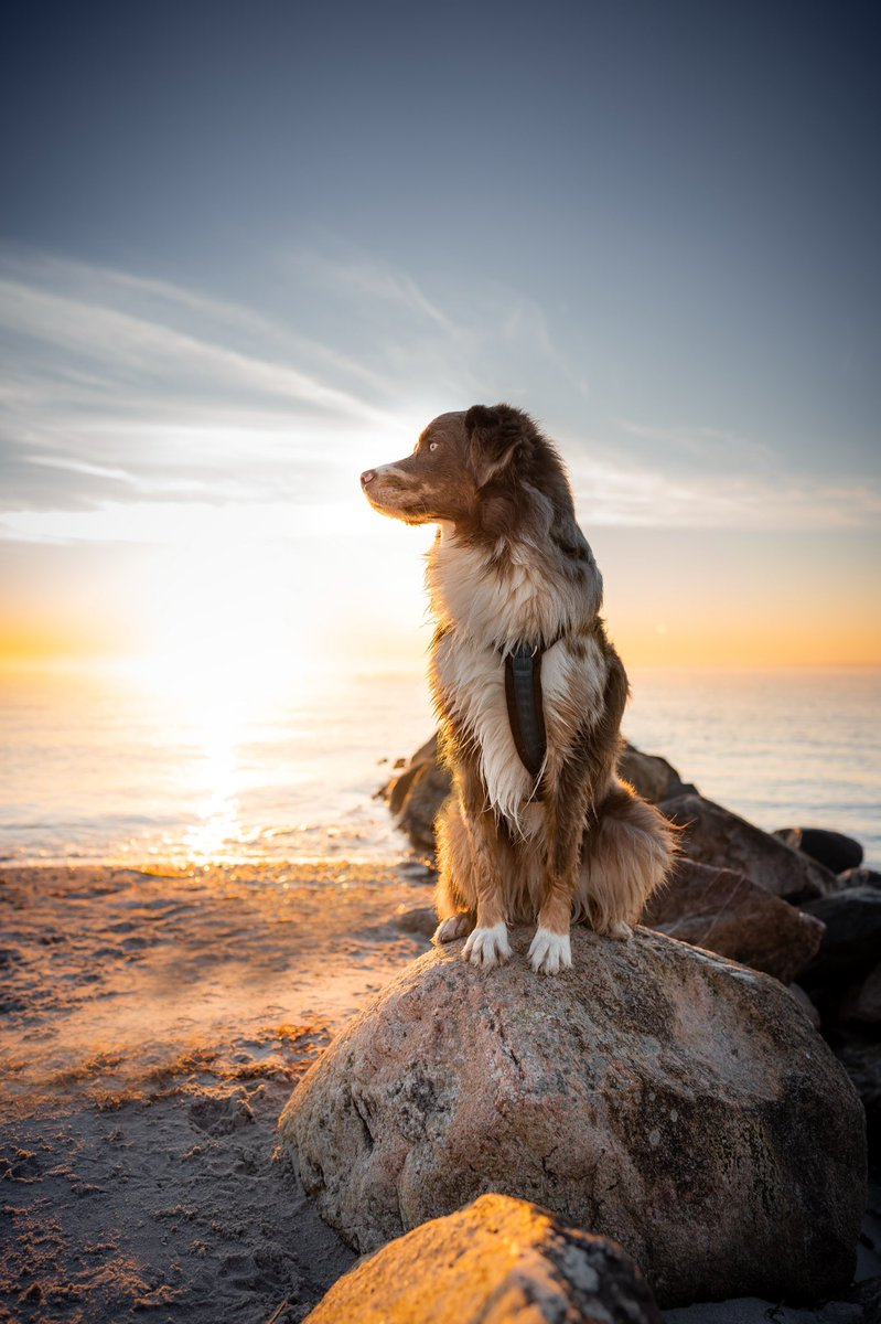 BAILEY + KAITO tweet media