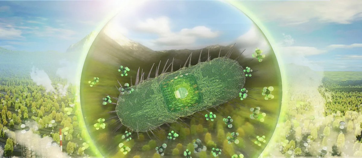 CaraSantaMaria's tweet photo. This bacteria absorbs CO2 and turns it into useful chemicals. 

#Bacteria #Ethanol #Acetone #Isopropanol #CarbonDioxide #Biotechnology #LanzaTech

https://t.co/4JMIksykwQ @CosmosMagazine https://t.co/3Ss2ntojs6