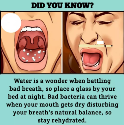 FolksHealthy's tweet photo. health and fitness tips , like &amp; share post, more health plan link in Bio 
@FolksHealthy

#healthytips #fitnesstips #healthylife #healthandwellness https://t.co/DGRSWBFWzw
