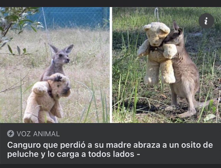 SuavesLomitos's tweet image. 😮‍💨😖