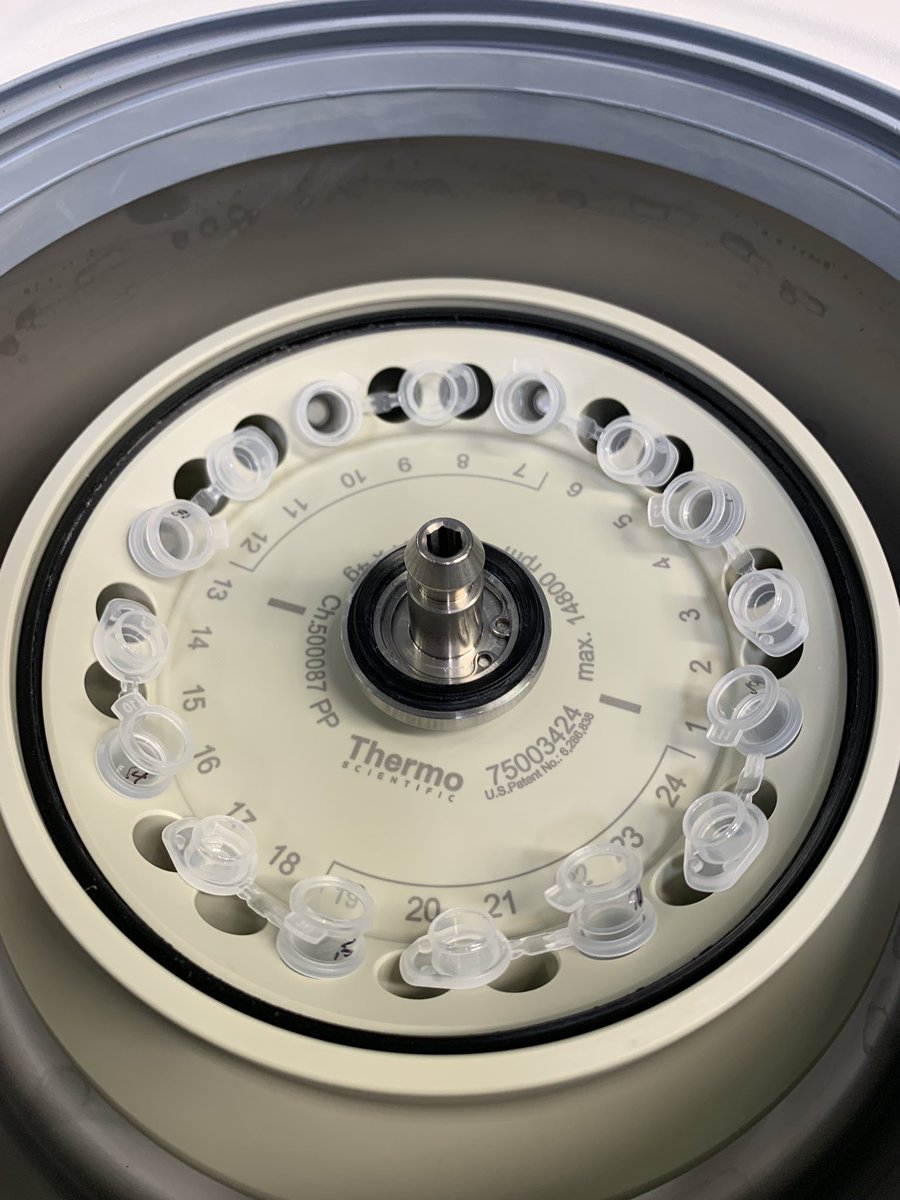 Jack Hagen tweet media