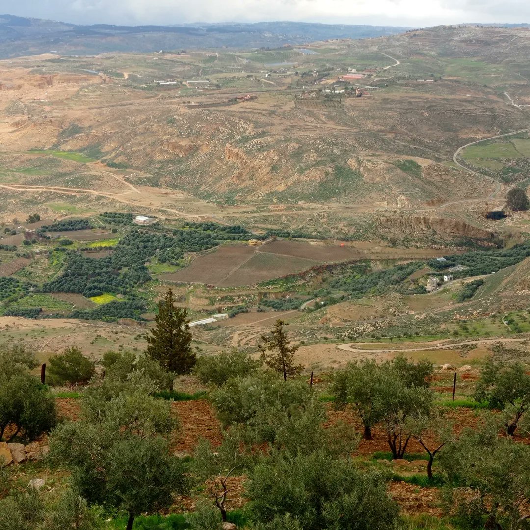 KarolyNagy's tweet photo. #MountNebo #Holyland #Moses
#Jordan #Jordantrip #travel #adventure #Madeba https://t.co/q2mTZnSviB
