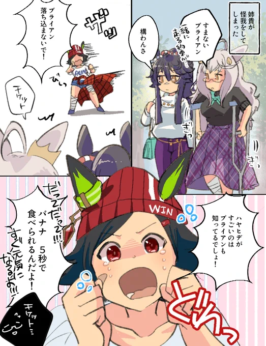 ハヤヒデの秘密2、めっちゃチケちゃんが好きそうだなって。 