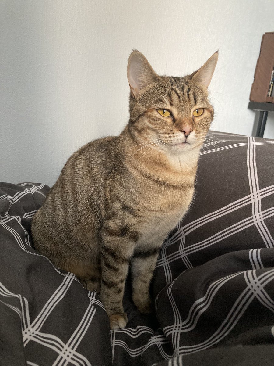 Eu, divkāji, es varbūt izskatos mierīga, bet fiksi uz virtuvi! 😅