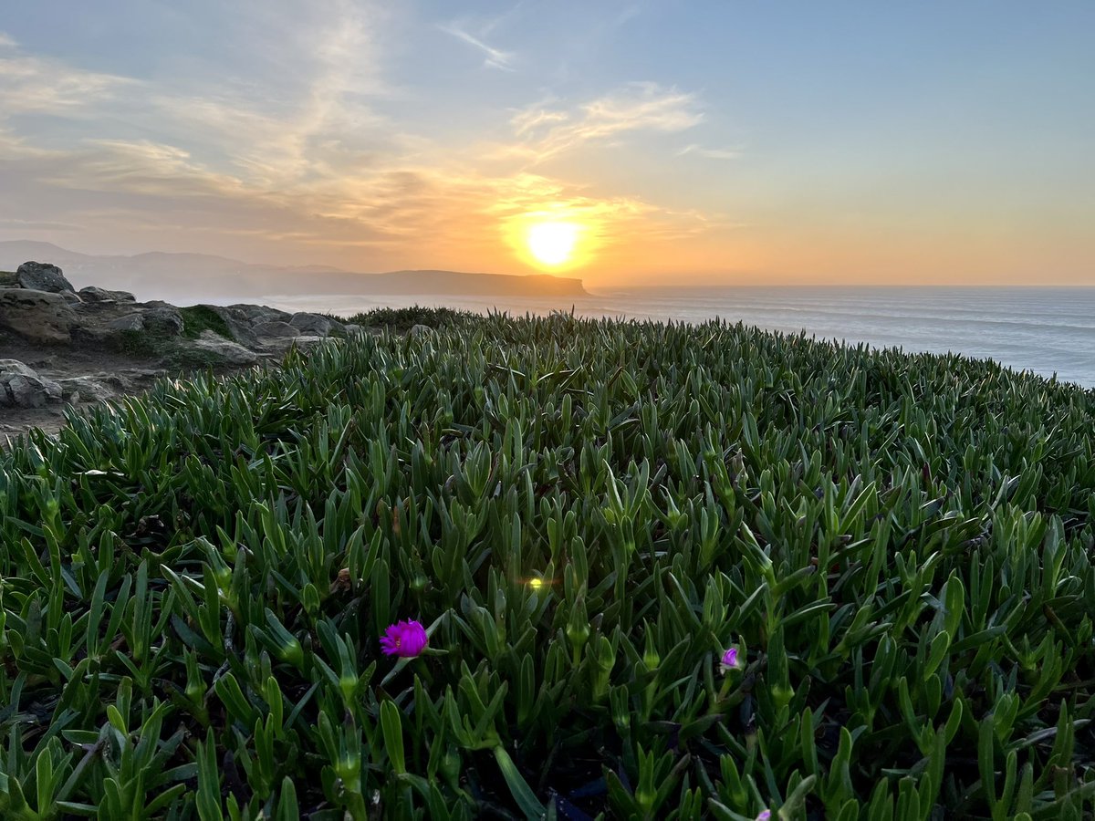 Ayer Miador dela Playa de los locos (Suances)_18:44h <a href="/Tiempo_Mercedes/">Mercedes Martín</a> <a href="/tiempobrasero/">Tutiempo</a>