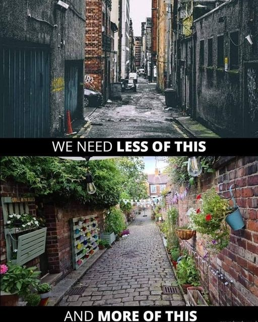 East London Garden Society (@geoffjuden) on Twitter photo 