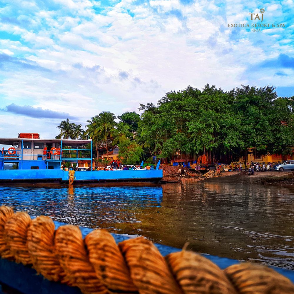 Tajexoticagoa's tweet photo. Welcome calm and bliss as you stroll through the quaint island of Chorao in North Goa. Dotted with traditional villas, whitewashed Portuguese churches, and a renowned bird sanctuary, this island relaxes and refreshes you.
#ChoraoIsland #Goa #TajExotica #KnowYourGoa https://t.co/lRZF5Mw1Wb