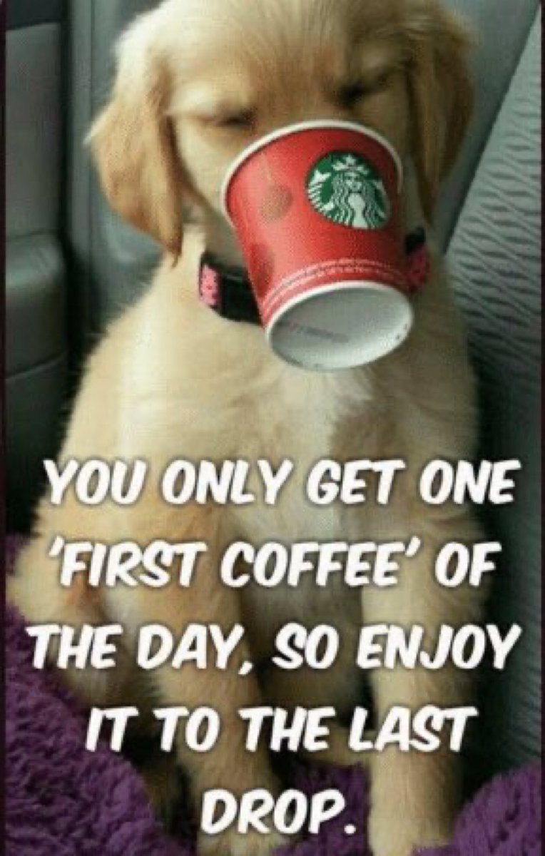cazij's tweet image. ☕️☕️☕️

One #coffee does not a morning make, but we’ve all got to start somewhere.

@Cbp8Cindy @QueenBeanCoffee @suziday123 @LoveCoffeeHour @FreshRoasters @Stefeenew 

#SaturdayMotivation #SaturdayMorning #SaturdayVibes #CoffeeLover #coffeelovers #CoffeeTime