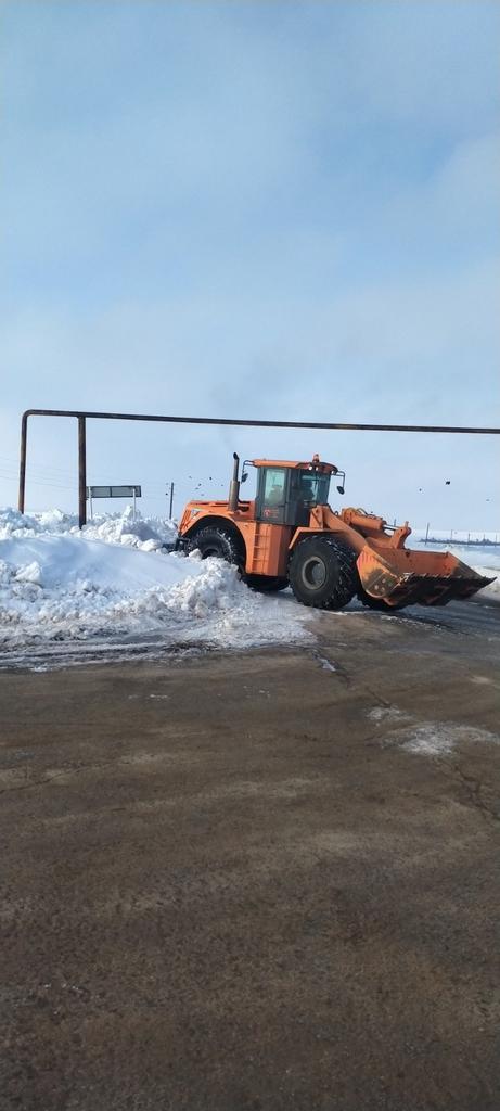 АСАДО tweet media