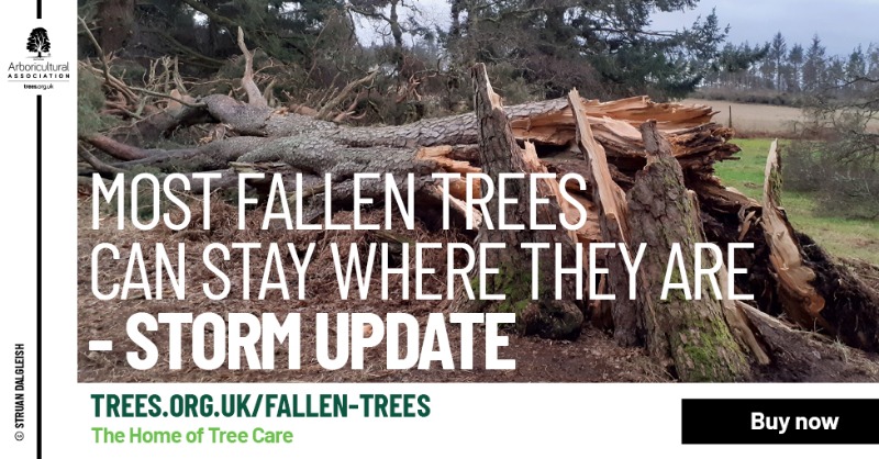 Ncl Tree Services tweet media