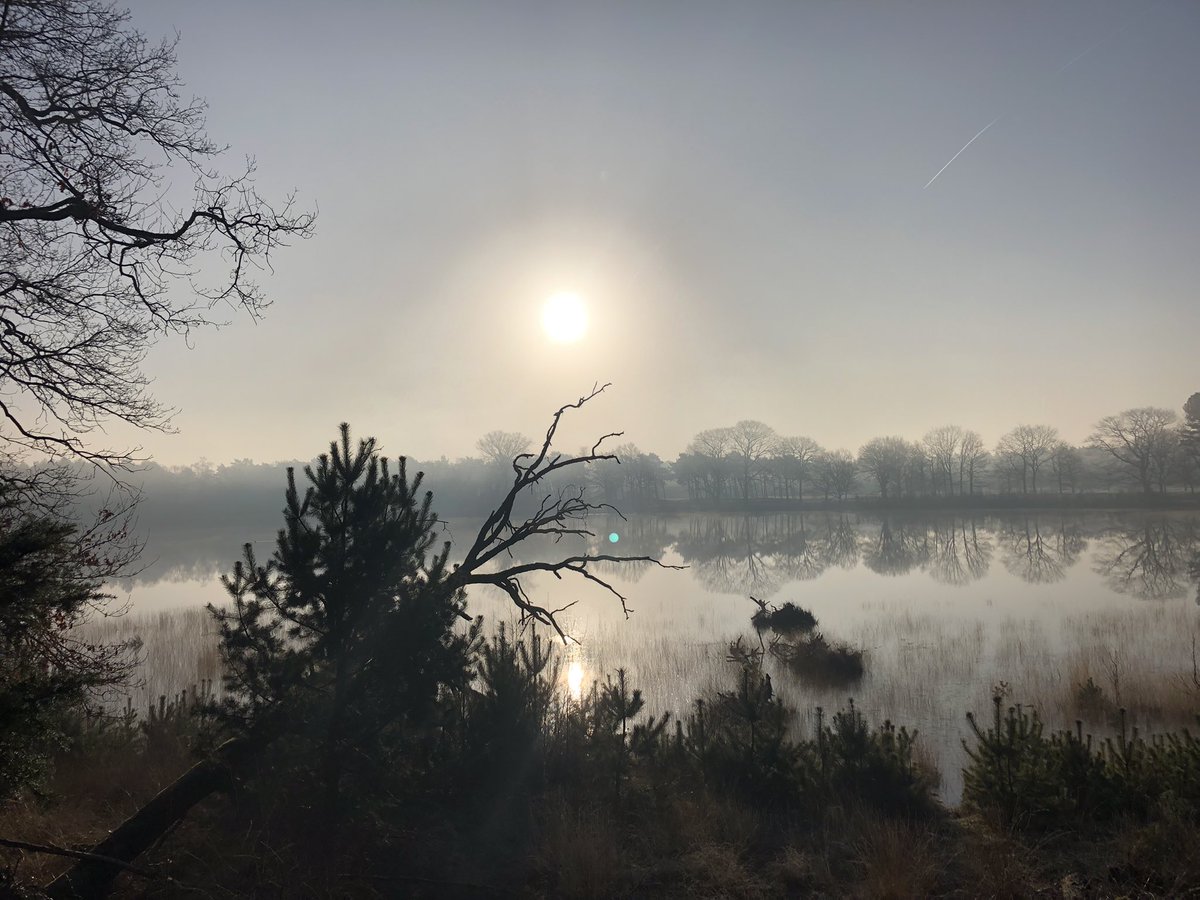 #herperduin #ganzeven