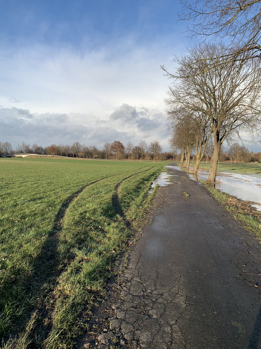 Wie ich manche Autofahrer hasse. Ist übrigens eine Sackgasse