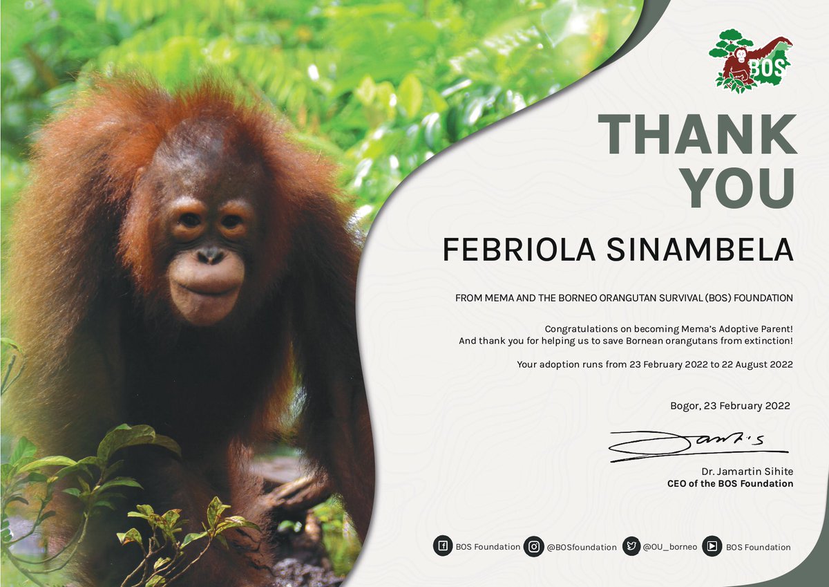 Olla The Miracle tweet media