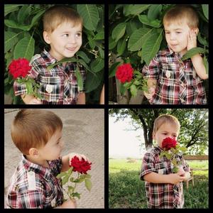 AnnZolotoeRuno's tweet image. 04 04 2015
Иван Нестерук, 4 года
Тельманово. Солнечно, семья гуляла с детьми. Внезапно начался обстрел. Ваня упал. Осколок пробил ему лёгкое и застрял в позвоночнике. «Я еще чуть-чуть полежу, а потом мы пойдём домой», – сказал он подбежавшему отчиму и умер.