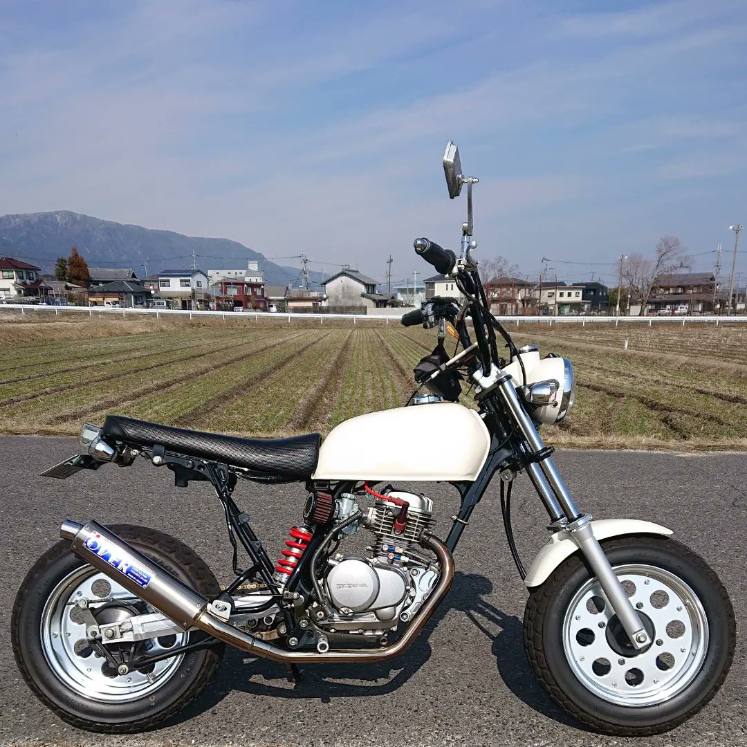 Hideaki0108's tweet photo. 我慢できず爆走しました😎

#エイプ大好き
#エイプ好きな人と繋がりたい
#4mini好きな人と繋がりたい https://t.co/yeJBJXIQMU