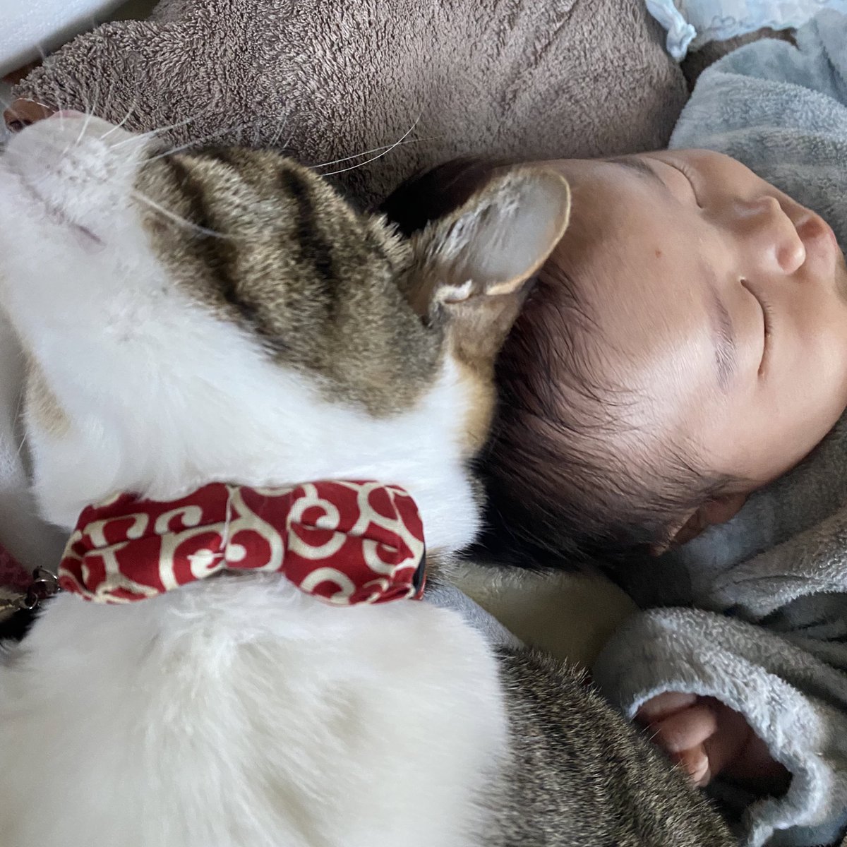 愛おしい以外何も言うことない2人🐈‍⬛👶