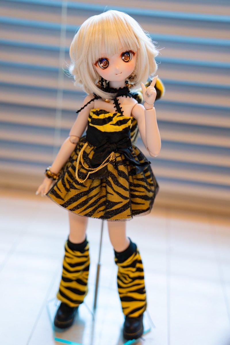 sharkdolls's tweet photo. 明日の #アイドール東京 にて抽選販売するカスタムヘッドちゃんです🐯💗
🐯DDH-27 フレッシュ肌 衣装・アイset🐯
抽選券をお配りいたしますので、抽選時間になりましたらブースまでお越しください。(13:00を予定しております) https://t.co/iAtgbw9cuQ