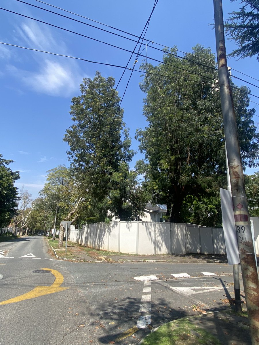 VendangeRSA tweet media