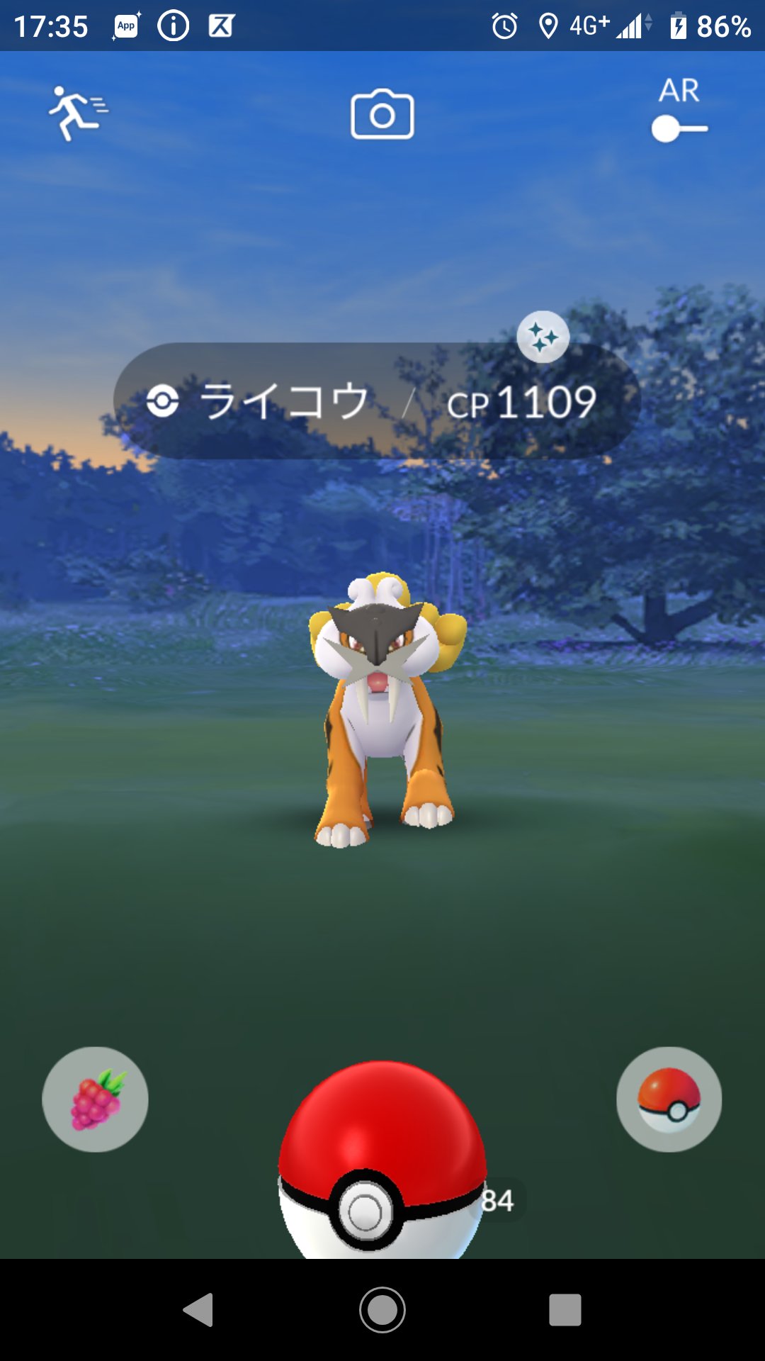 蕨 まさかの野生で来たー ポケモンgo Pokemongo 色違い 色違いポケモン ライコウ T Co Alz8ih7peg Twitter
