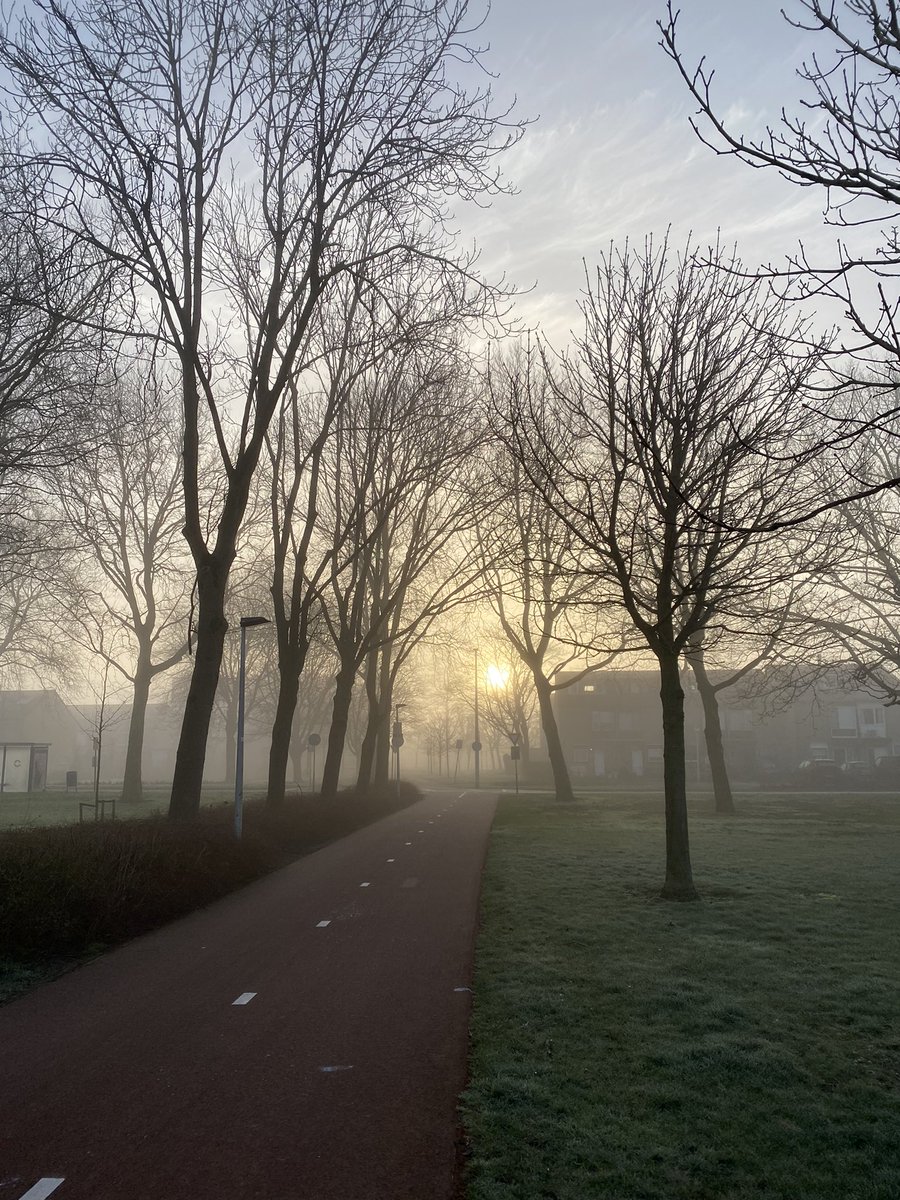 PieterWeijers's tweet photo. Mooi ochtendlicht #oostgaarde en @ParkHitland https://t.co/kBfLhHx1iv