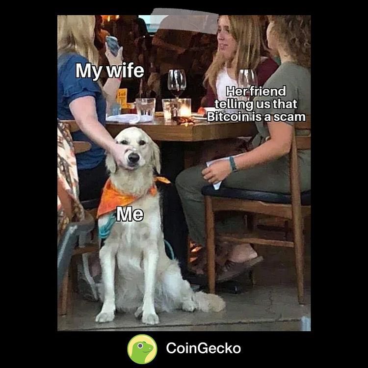 CryptoScarlett_'s tweet photo. @CryptoTony__ @MuroCrypto Agreed even tho a lot of people still think BTC is a scam at all 😂😂 https://t.co/6IaIWuT00L